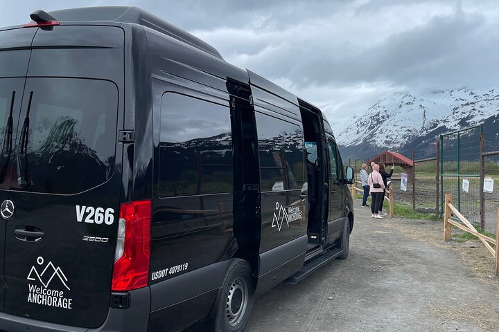 Trasferimento in crociera da Whittier ad Anchorage e tour della fauna selvatica