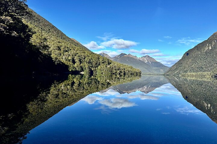 Excursión premium a Milford Sound, crucero y almuerzo desde Te Anau