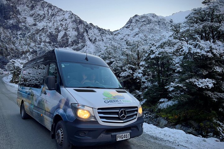 Excursión premium a Milford Sound, crucero y almuerzo desde Te Anau