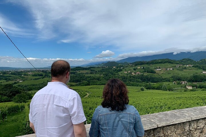 Tour privado todo incluido a Prosecco Hills - 2 bodegas y almuerzo.