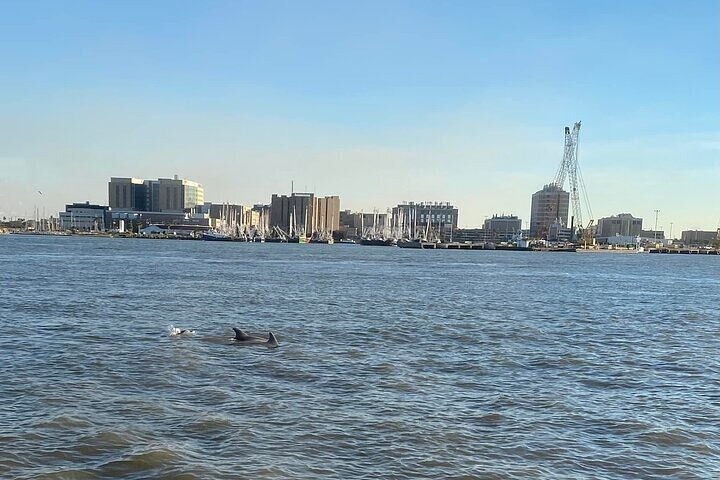 Hotéis perto de Baywatch Dolphin Tours - Pier 21 Galveston