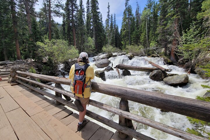Excursão turística privada de vida selvagem no Parque Nacional Rocky Mountain