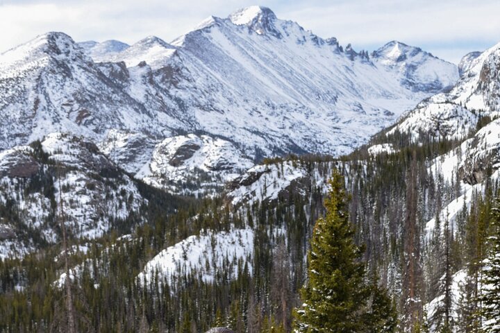 Excursão turística privada de vida selvagem no Parque Nacional Rocky Mountain