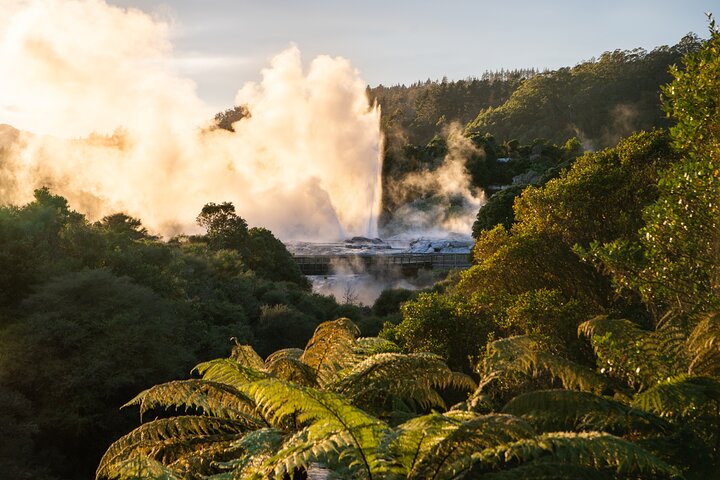 Auckland: Rotorua Tour avec Waiotapu, Te Puia et Maori Haka