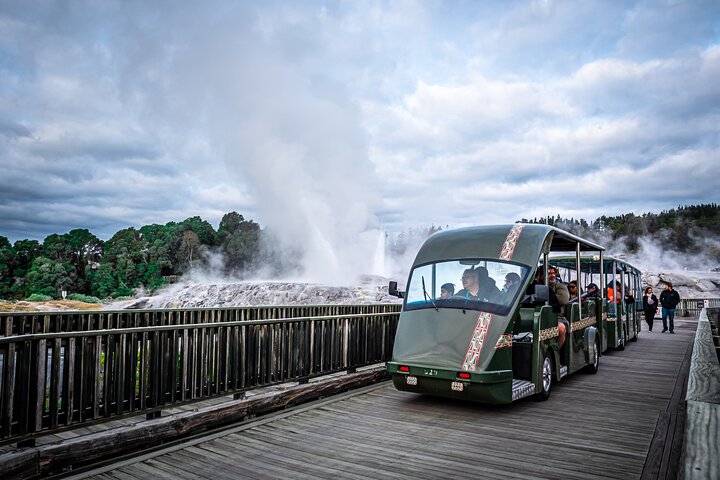 Auckland: Rotorua Tour avec Waiotapu, Te Puia et Maori Haka