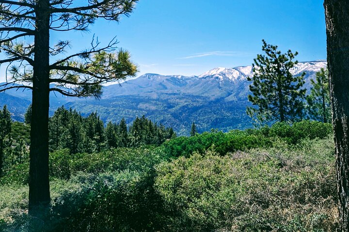 Gezinsvriendelijke natuurwandeling rond de Big Bear Valley