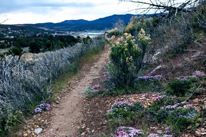 Gezinsvriendelijke natuurwandeling rond de Big Bear Valley