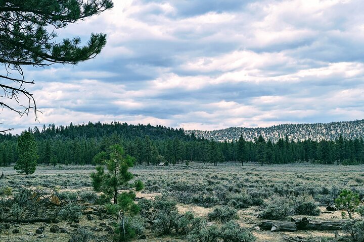 Gezinsvriendelijke natuurwandeling rond de Big Bear Valley