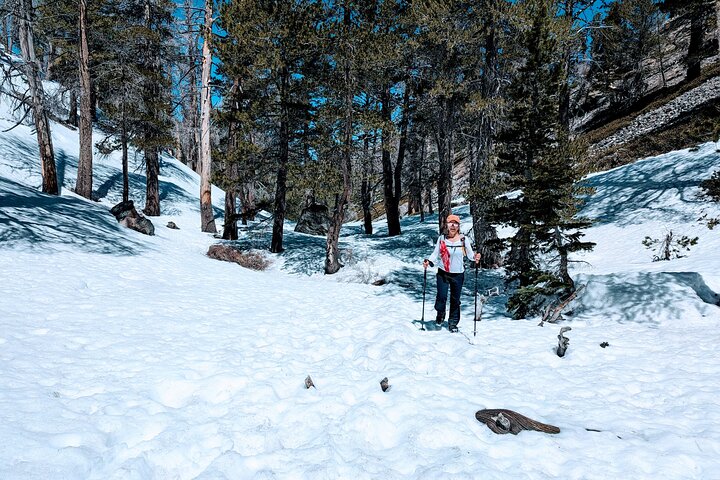 Gezinsvriendelijke natuurwandeling rond de Big Bear Valley