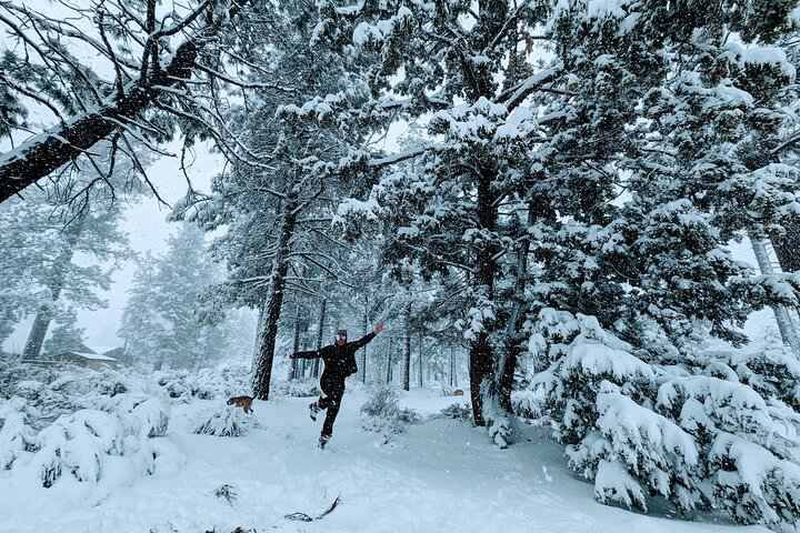 Gezinsvriendelijke natuurwandeling rond de Big Bear Valley