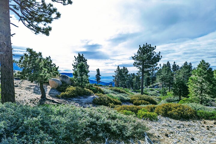 Gezinsvriendelijke natuurwandeling rond de Big Bear Valley