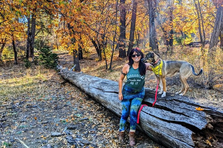 Gezinsvriendelijke natuurwandeling rond de Big Bear Valley