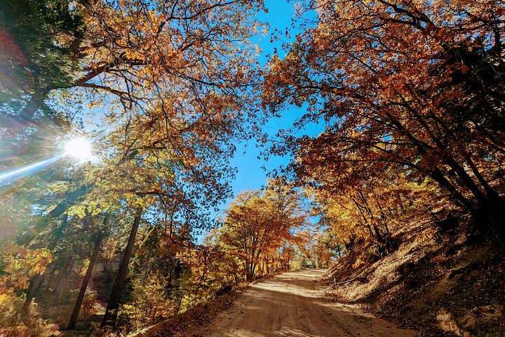 Gezinsvriendelijke natuurwandeling rond de Big Bear Valley
