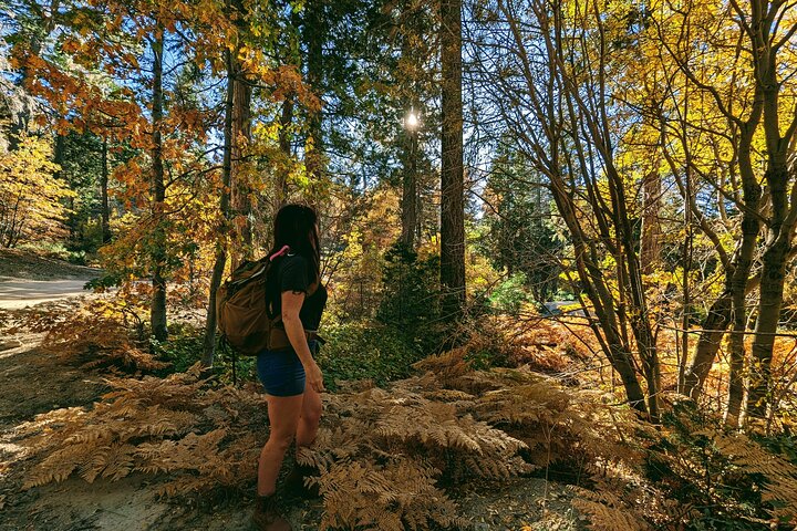 Gezinsvriendelijke natuurwandeling rond de Big Bear Valley