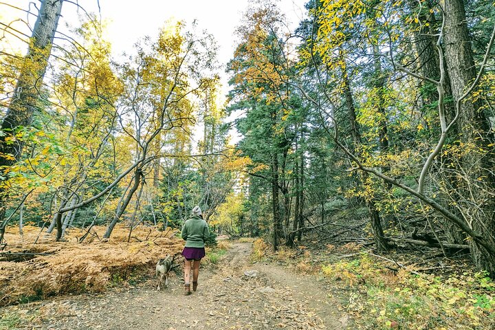 Gezinsvriendelijke natuurwandeling rond de Big Bear Valley