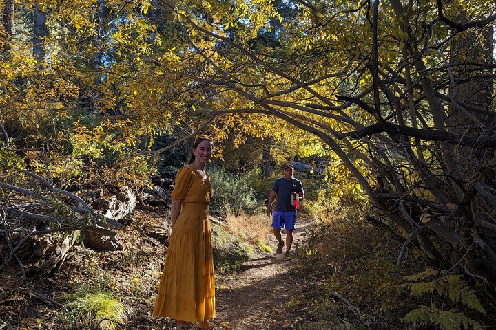 Gezinsvriendelijke natuurwandeling rond de Big Bear Valley
