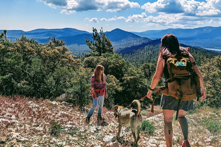 Gezinsvriendelijke natuurwandeling rond de Big Bear Valley