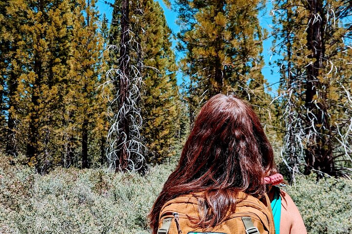 Gezinsvriendelijke natuurwandeling rond de Big Bear Valley