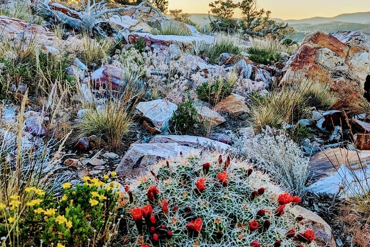 Gezinsvriendelijke natuurwandeling rond de Big Bear Valley