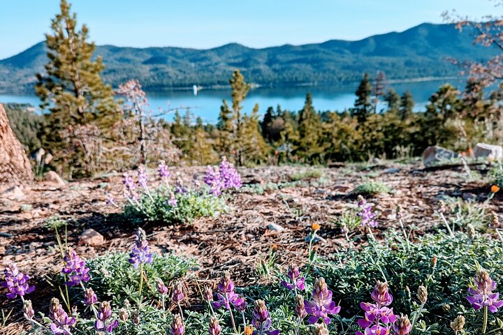 Gezinsvriendelijke natuurwandeling rond de Big Bear Valley
