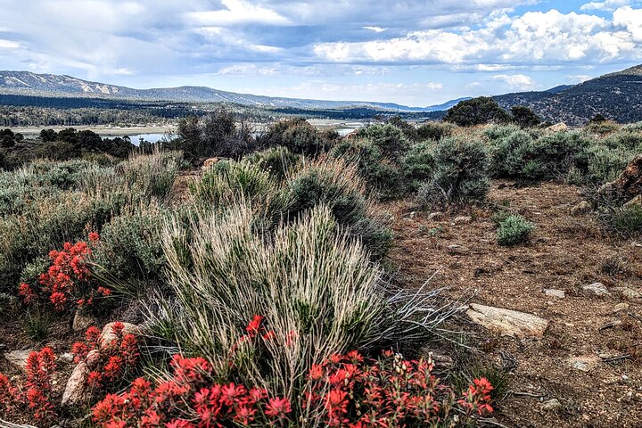 Gezinsvriendelijke natuurwandeling rond de Big Bear Valley