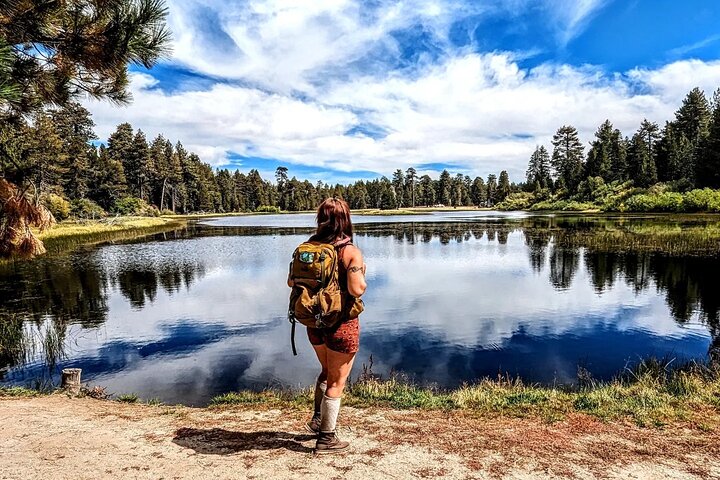 Visite hors route de Big Bear Jeep avec randonnée dans la réserve de Bluff Lake