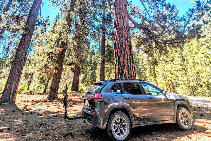 Visite hors route de Big Bear Jeep avec randonnée dans la réserve de Bluff Lake
