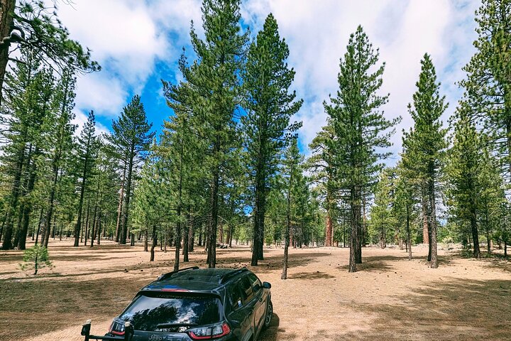 Visite hors route de Big Bear Jeep avec randonnée dans la réserve de Bluff Lake