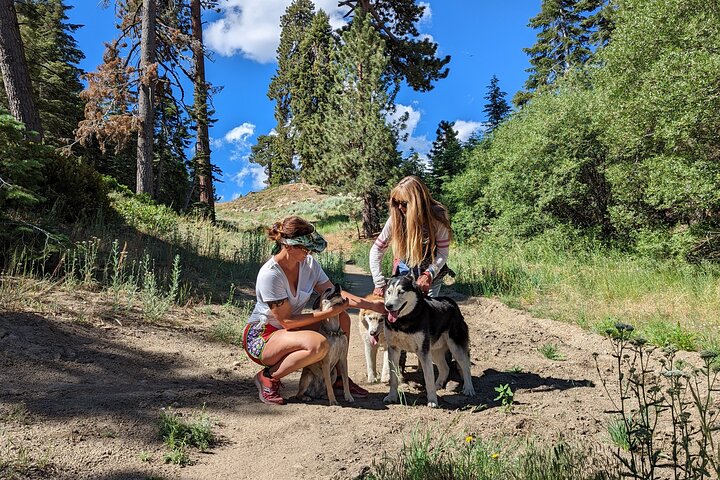 Visite hors route de Big Bear Jeep avec randonnée dans la réserve de Bluff Lake
