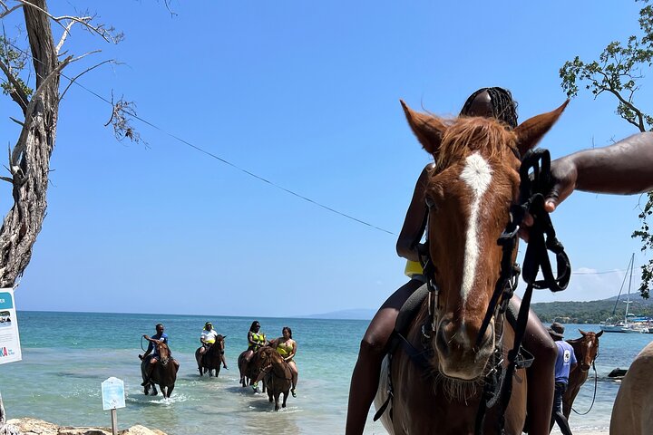 Bambus Rafting, ATV, Horseback Ride og Zipline Montego Bay Jamaica