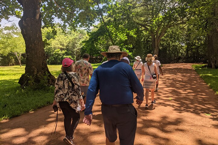 Shore excursion in Lomé : Vodoo Ceremony and Cultural Tour