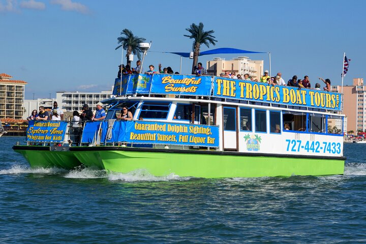 Gegarandeerde dolfijnenexcursie tijdens Tropics Boat Tours