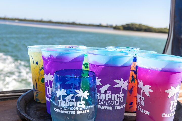 Gegarandeerde dolfijnenexcursie tijdens Tropics Boat Tours