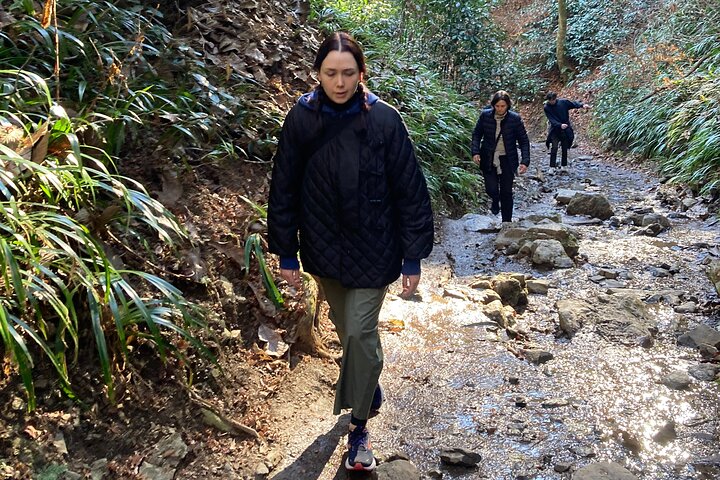 Escursione di un'intera giornata al Monte Takao, inclusa la sorgente termale