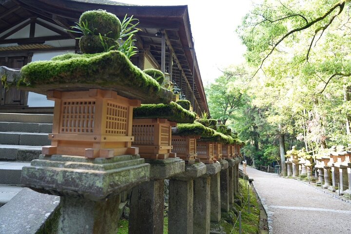 Nara Early Morning Tour Kyoto eller Osaka Avreise tilgjengelig