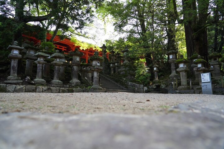 Nara Early Morning Tour Kyoto eller Osaka Avreise tilgjengelig