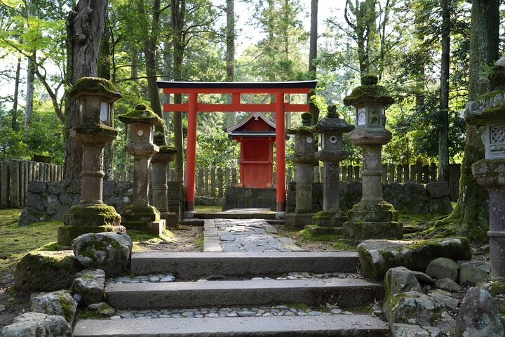 Nara Early Morning Tour Kyoto eller Osaka Avreise tilgjengelig