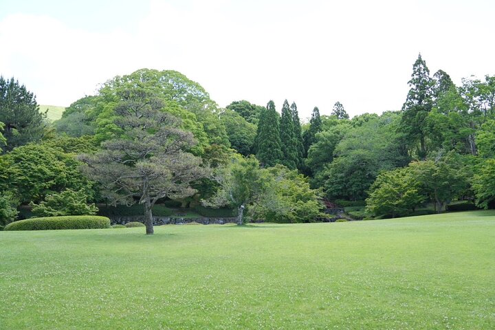 Nara Early Morning Tour Kyoto eller Osaka Avreise tilgjengelig