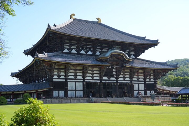 Nara Early Morning Tour Kyoto eller Osaka Avreise tilgjengelig