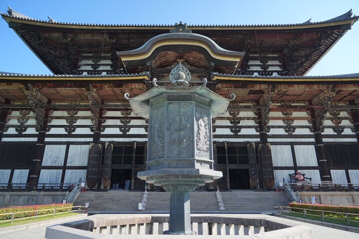 Nara Early Morning Tour Kyoto eller Osaka Avreise tilgjengelig