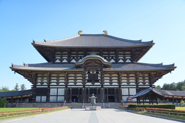 Nara Early Morning Tour Kyoto eller Osaka Avreise tilgjengelig