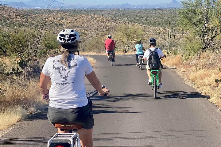 Tour in bici elettrica del Parco nazionale del Saguaro est