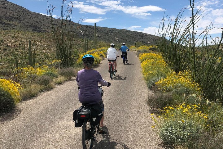 Tour in bici elettrica del Parco nazionale del Saguaro est