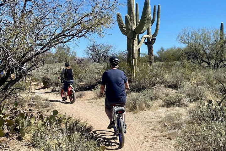 Tour in bici elettrica del Parco nazionale del Saguaro est