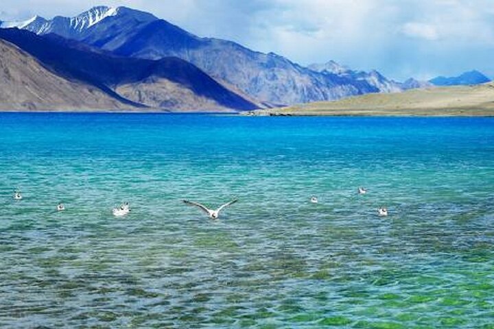 Pangong-Tour mit Übernachtung ab Leh mit den Klöstern Thikse und Hemis.
