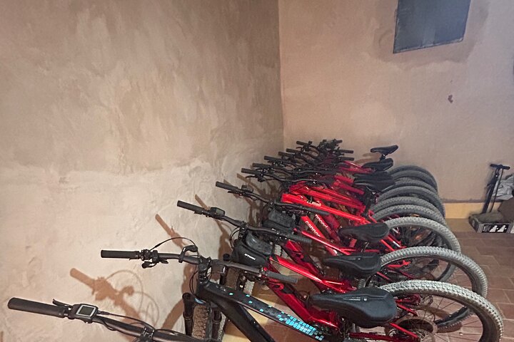 Privater halbtägiger Mountainbike-Ausflug zur Entdeckung der Skoura Palmeraie