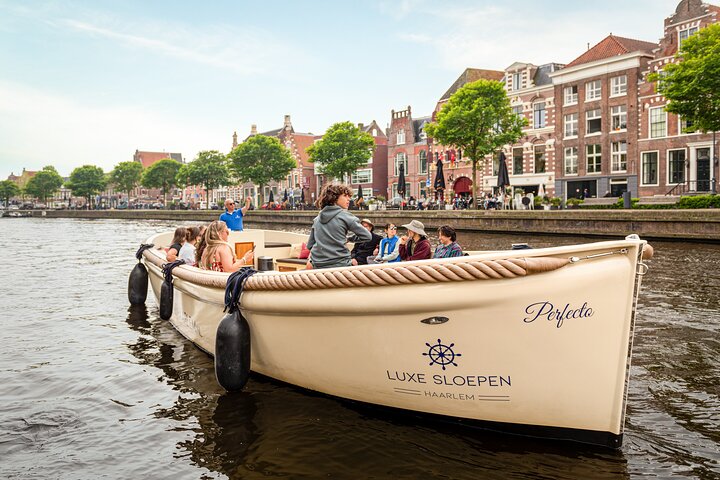 Crociera sul canale aperto di Haarlem con Guida Live (barca elettrica)
