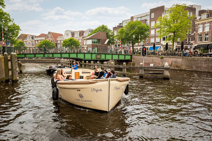 Crociera sul canale aperto di Haarlem con Guida Live (barca elettrica)