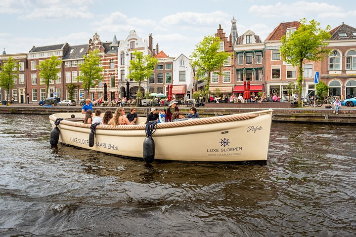 Crociera sul canale aperto di Haarlem con Guida Live (barca elettrica)