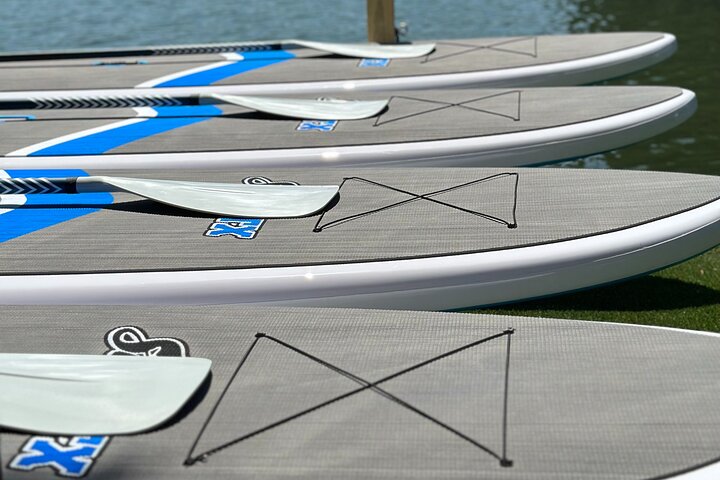 Alquiler de tabla de paddle surf de 1 hora en el lago Austin por persona